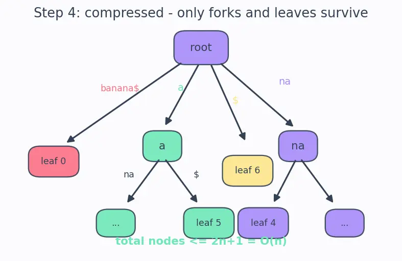 Figure — Suffix tree (conceptual)