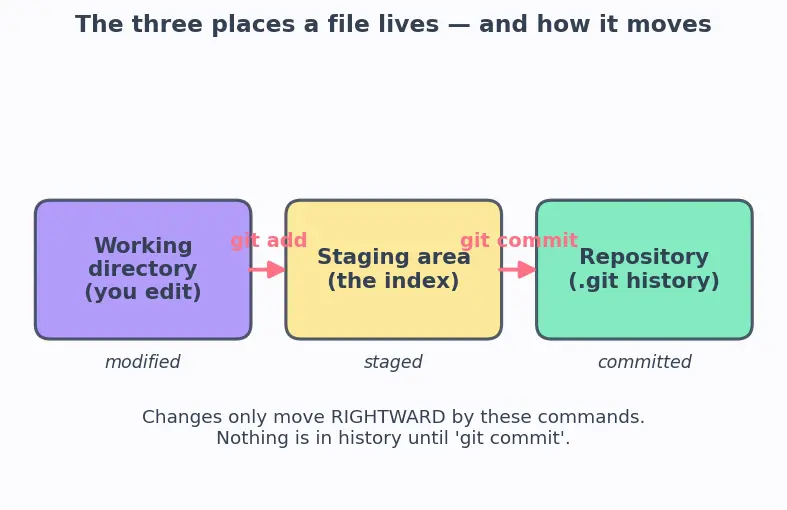 Figure — Git version control basics