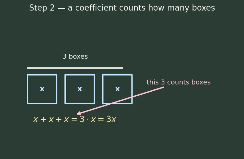 Figure — Variables, constants, coefficients — algebraic expressions