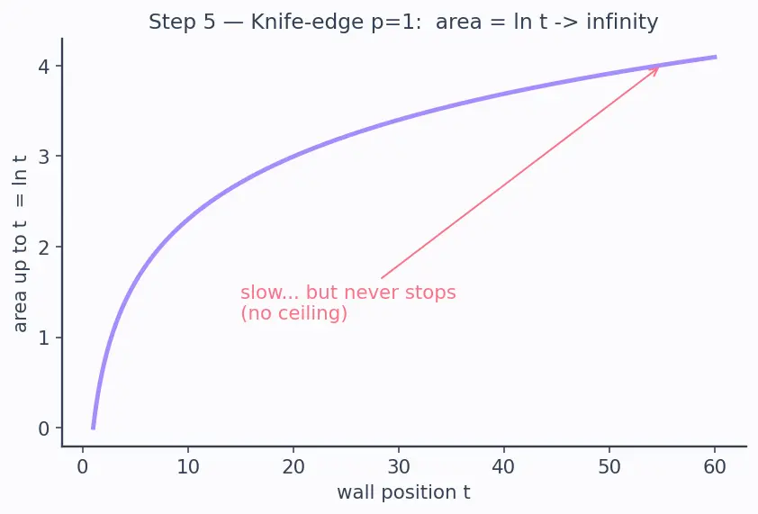 Figure — Improper integrals — Type I (infinite limits), Type II (discontinuous integrand)