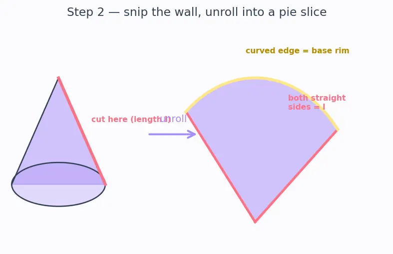Figure — Nets of 3D shapes