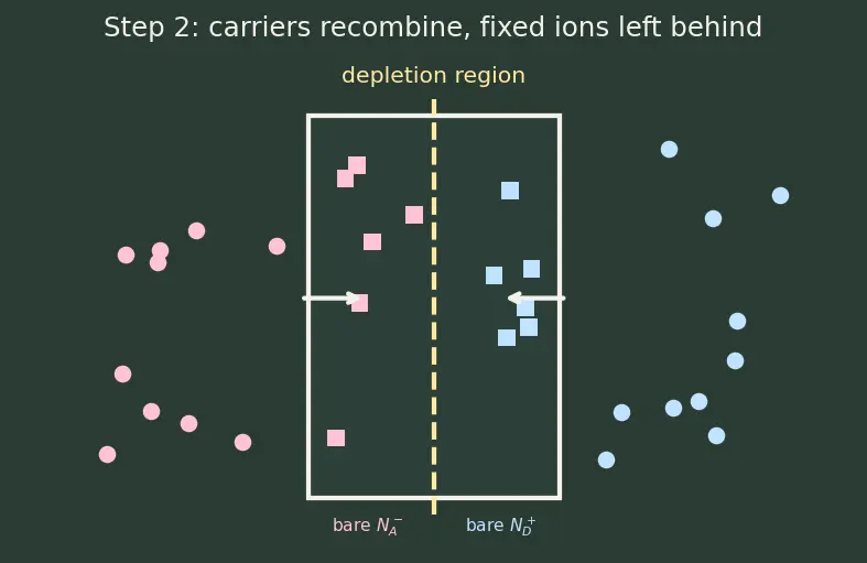 Figure — Depletion region and space charge