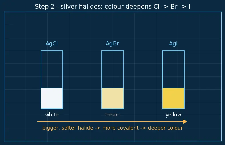 Figure — Common anions — Cl⁻, Br⁻, I⁻, SO₄²⁻, NO₃⁻, CO₃²⁻ — confirmatory tests