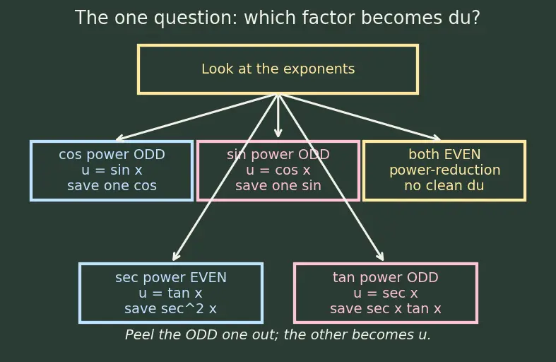 Figure — Trigonometric integrals — sinᵐ·cosⁿ cases, tan and sec cases