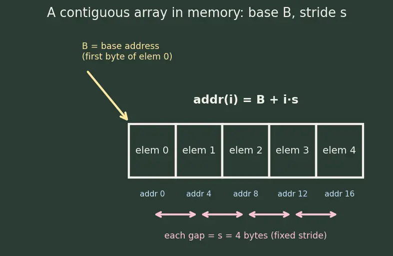 Figure — Array — static, dynamic; cache locality; amortized O(1) append