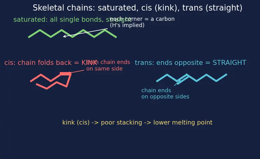 Figure — Lipids — fatty acids, triglycerides, phospholipids; saponification