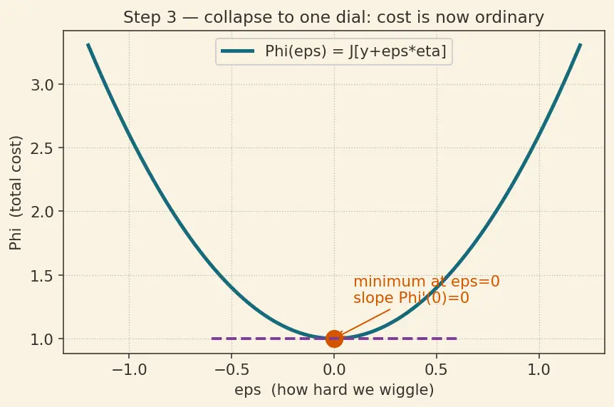 Figure — Calculus of variations — functionals, functional derivative
