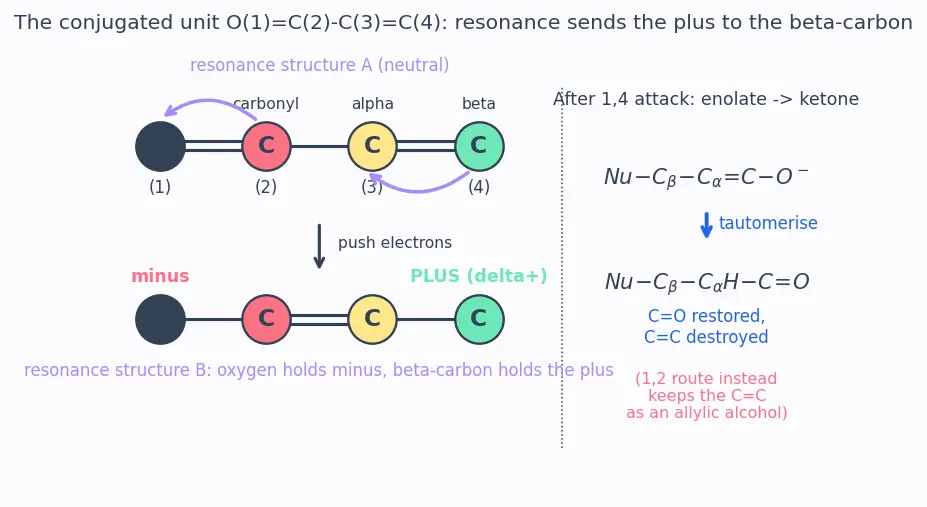 Figure — α,β-Unsaturated carbonyls — Michael addition, 1,2 vs 1,4 addition