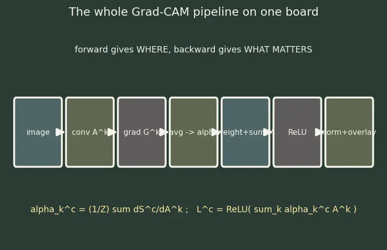 Figure — Saliency maps and Grad-CAM