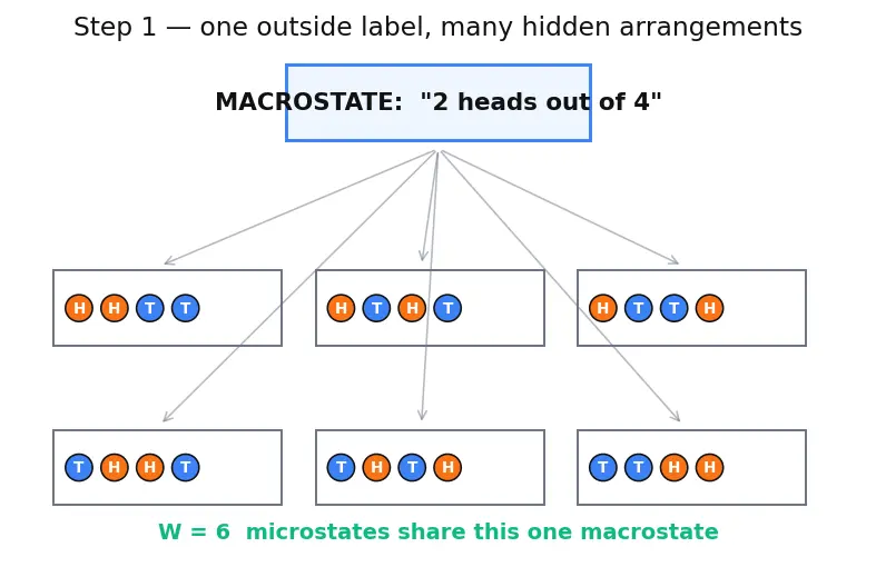 Figure — Entropy and disorder — Boltzmann S = k·ln(W)
