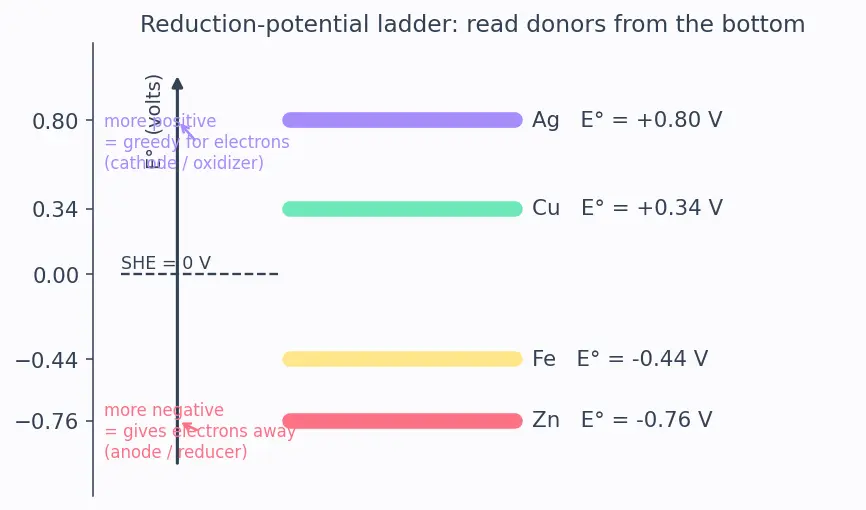 Figure — Galvanic (voltaic) cells — anode (oxidation), cathode (reduction)