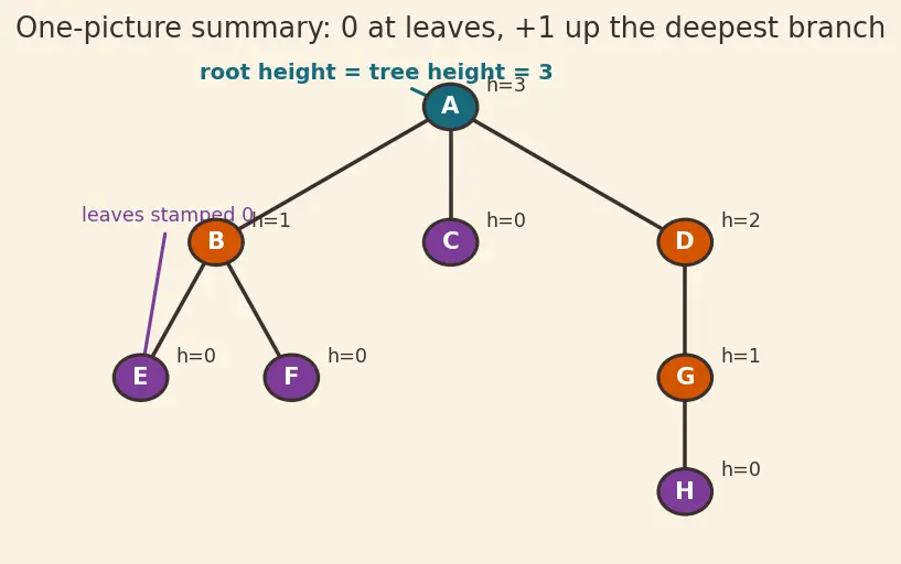 Figure — Tree terminology — root, leaf, height, depth, degree, subtree
