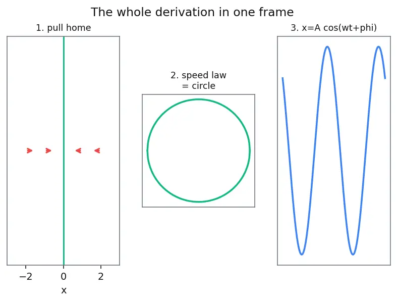 Figure — SHM differential equation — solution -  x = A cos(ωt + φ)