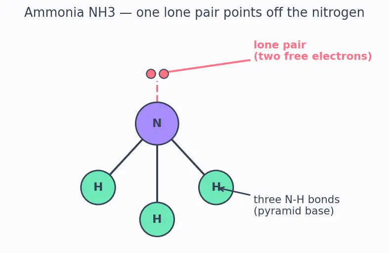 Figure — Amines — basicity (alkyl  -  NH₃  -  aryl in water; reverse in gas phase), Hofmann elimination, carbylamine, Hinsberg te