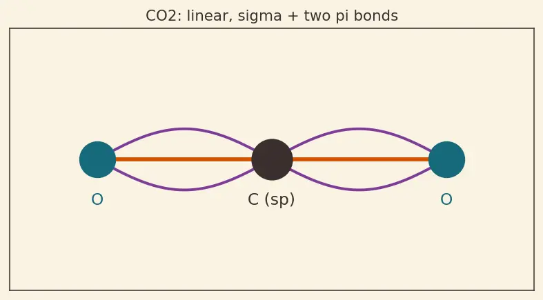 Figure — Valence Bond Theory (VBT) — hybridization (sp, sp², sp³, sp³d, sp³d²)