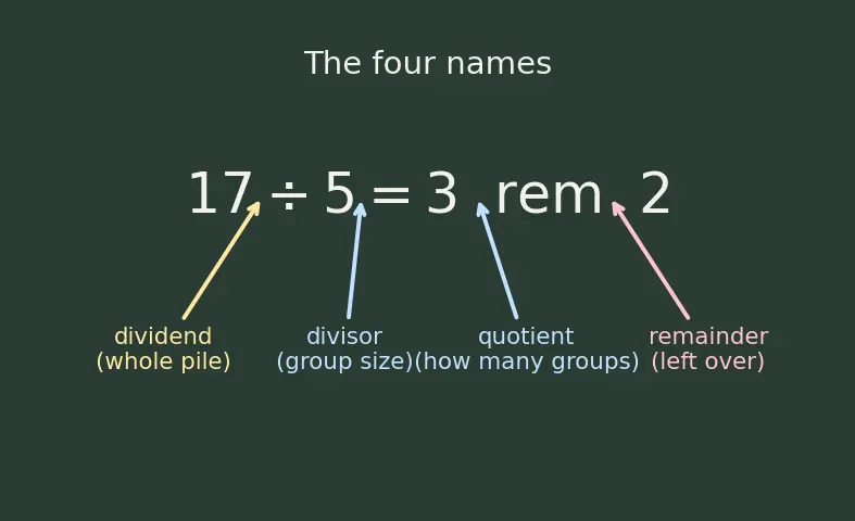 Figure — Division — long division, remainder, dividend - divisor - quotient vocabulary