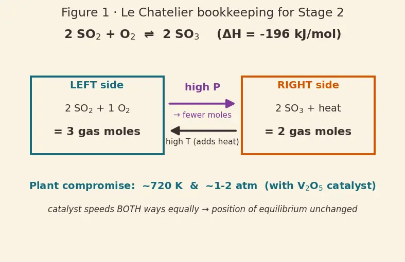 Figure — Sulfur — allotropes (rhombic, monoclinic); SO₂, SO₃; H₂SO₄ (Contact process); oxoacids of S