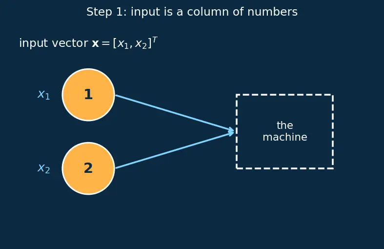 Figure — Forward propagation computation