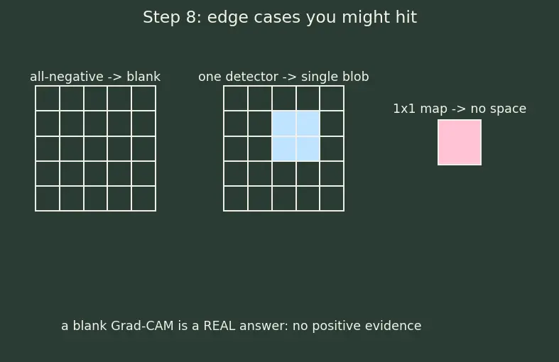 Figure — Saliency maps and Grad-CAM