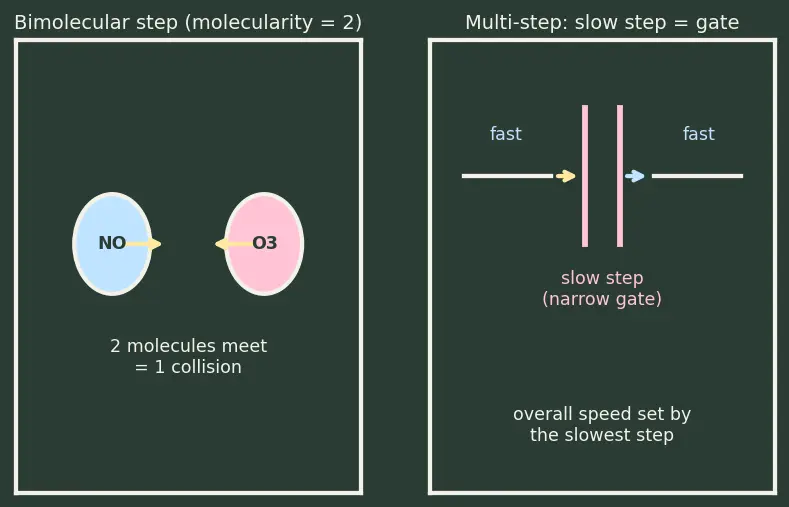 Figure — Rate law — order vs molecularity