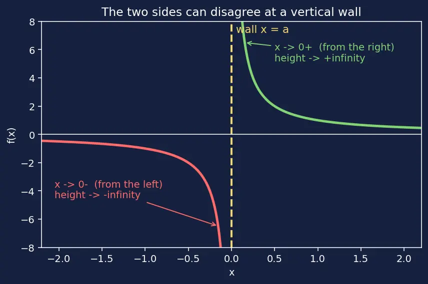 Figure — Infinite limits and limits at infinity — vertical - horizontal asymptotes