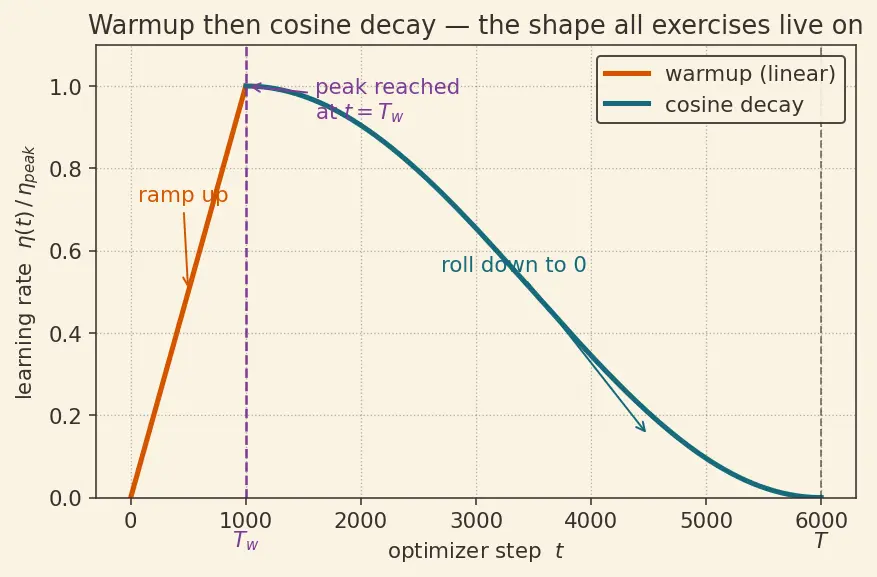 Figure — Learning rate warmup