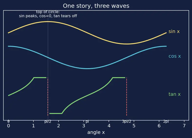 Figure — Graphs of sin x, cos x, tan x — key features, period, amplitude