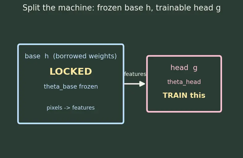 Figure — Transfer learning and fine-tuning