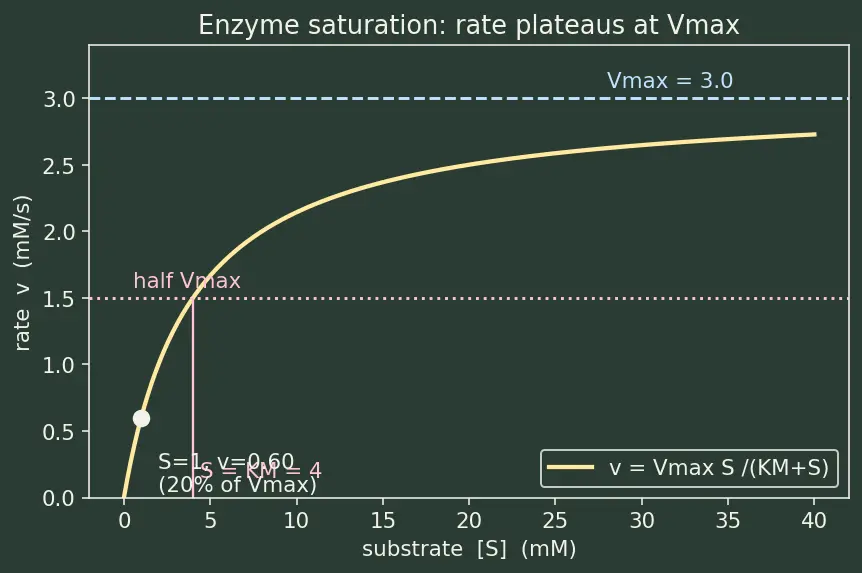 Figure — Catalysis — homogeneous, heterogeneous, enzyme catalysis