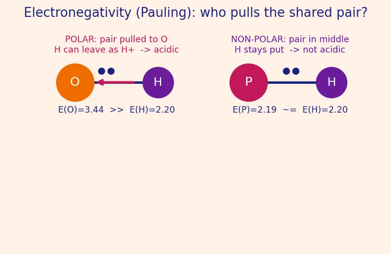 Figure — Phosphorus allotropes (white, red, black); P₄O₆, P₄O₁₀; oxoacids of P (H₃PO₃ vs H₃PO₄ basicity)