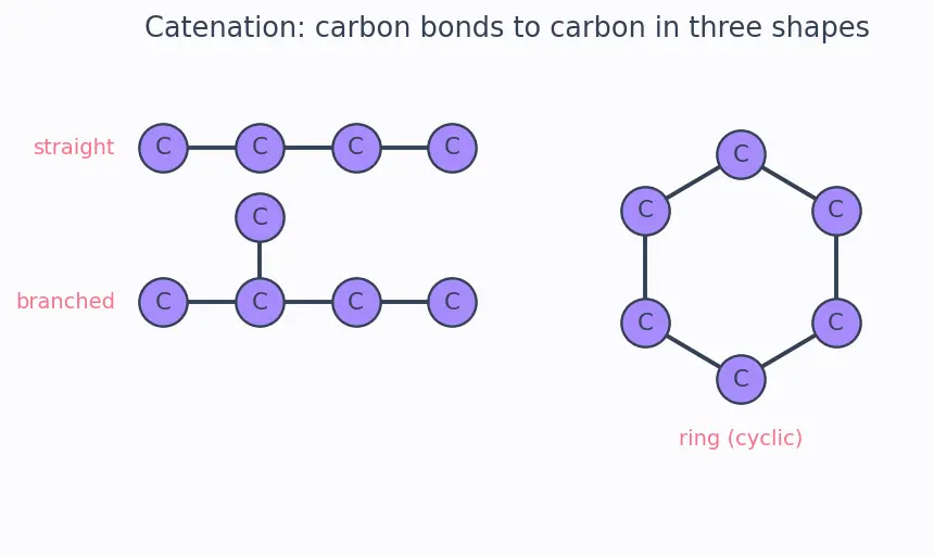Figure — Catenation and the diversity of organic molecules