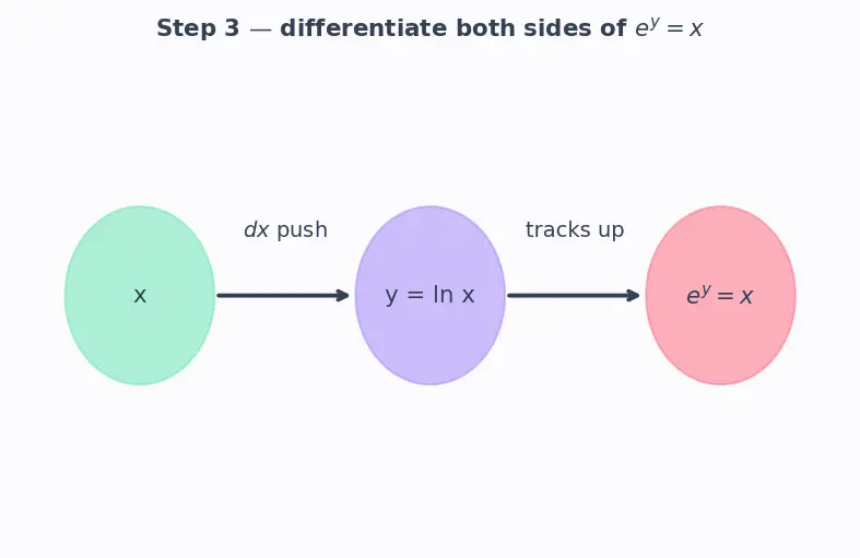 Figure — Derivatives of ln x and logₐ(x)