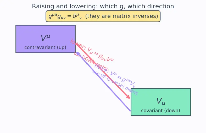 Figure — Metric tensor — raising - lowering indices