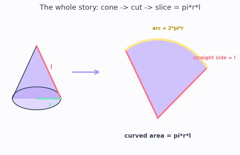 Figure — Nets of 3D shapes