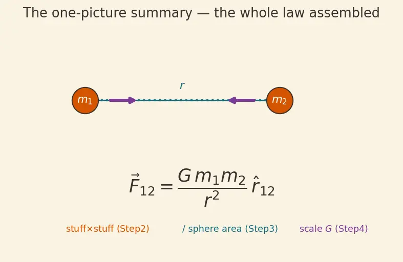 Figure — Newton's law of gravitation — universal, action at distance