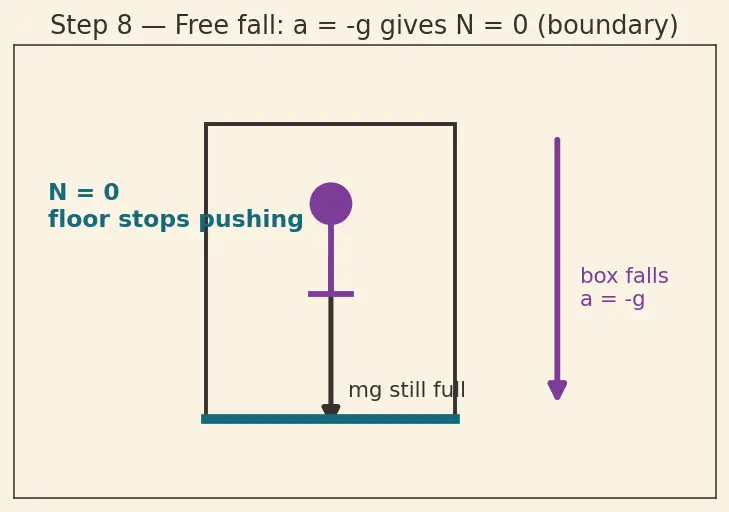 Figure — Weightlessness — true (free fall) vs apparent
