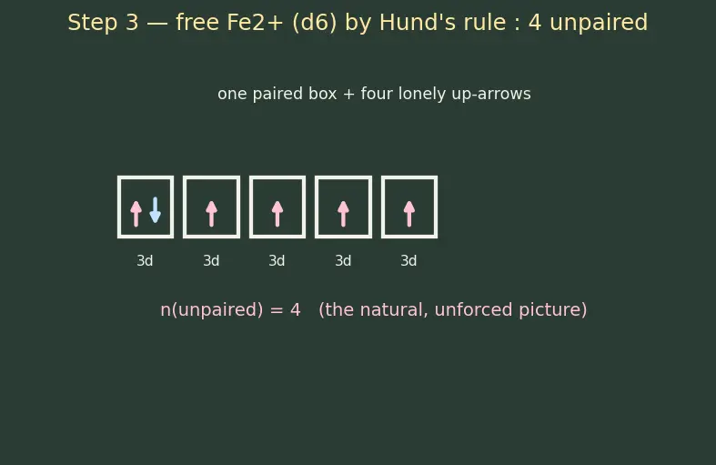 Figure — VBT applied to complexes — inner vs outer orbital, hybridization, magnetism