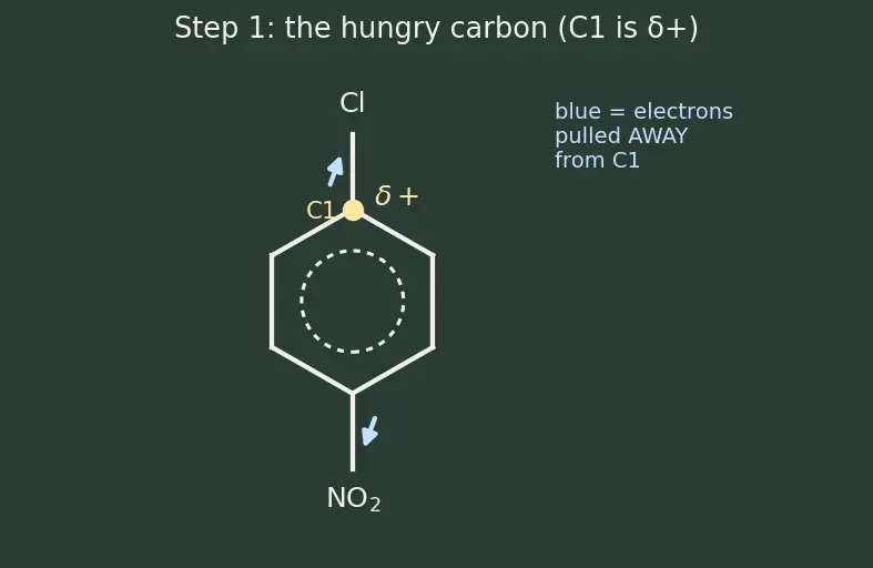 Figure — Aryl halides — low reactivity, addition-elimination (benzyne mechanism), nucleophilic aromatic substitution