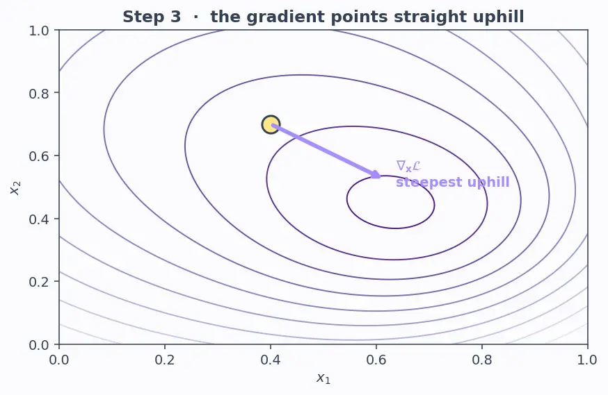 Figure — Adversarial examples and robustness