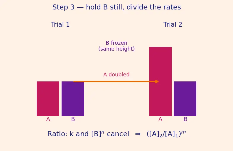 Figure — Rate law — order vs molecularity