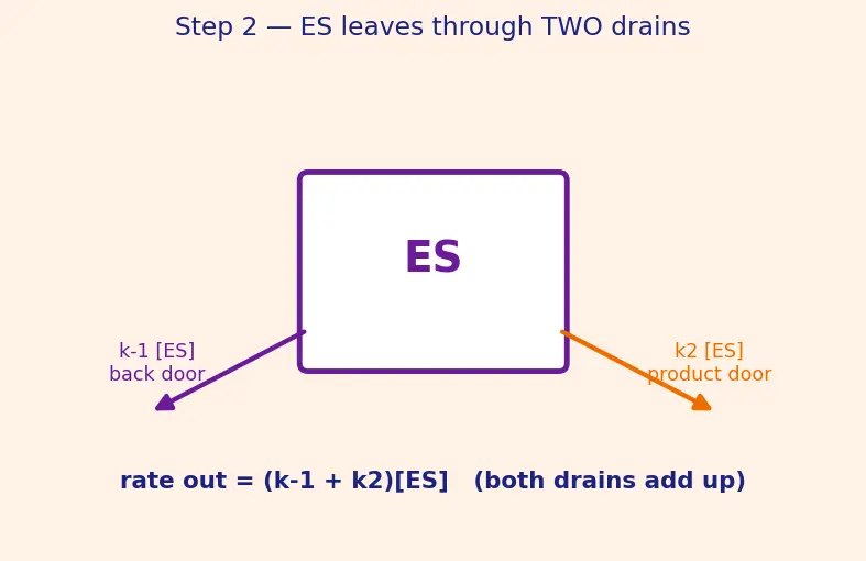 Figure — Catalysis — homogeneous, heterogeneous, enzyme catalysis