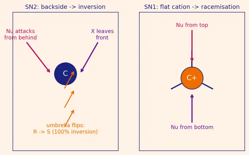 Figure — Alkyl halides — preparation, SN1 vs SN2 (mechanism, kinetics, stereochemistry), E1 vs E2 (mechanism, Zaitsev - Hofmann)