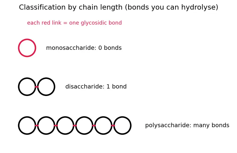Figure — Carbohydrates — classification (mono - di - polysaccharides), Fischer - Haworth projections, mutarotation, glycosidic bo