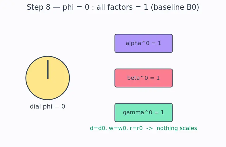 Figure — DenseNet and EfficientNet
