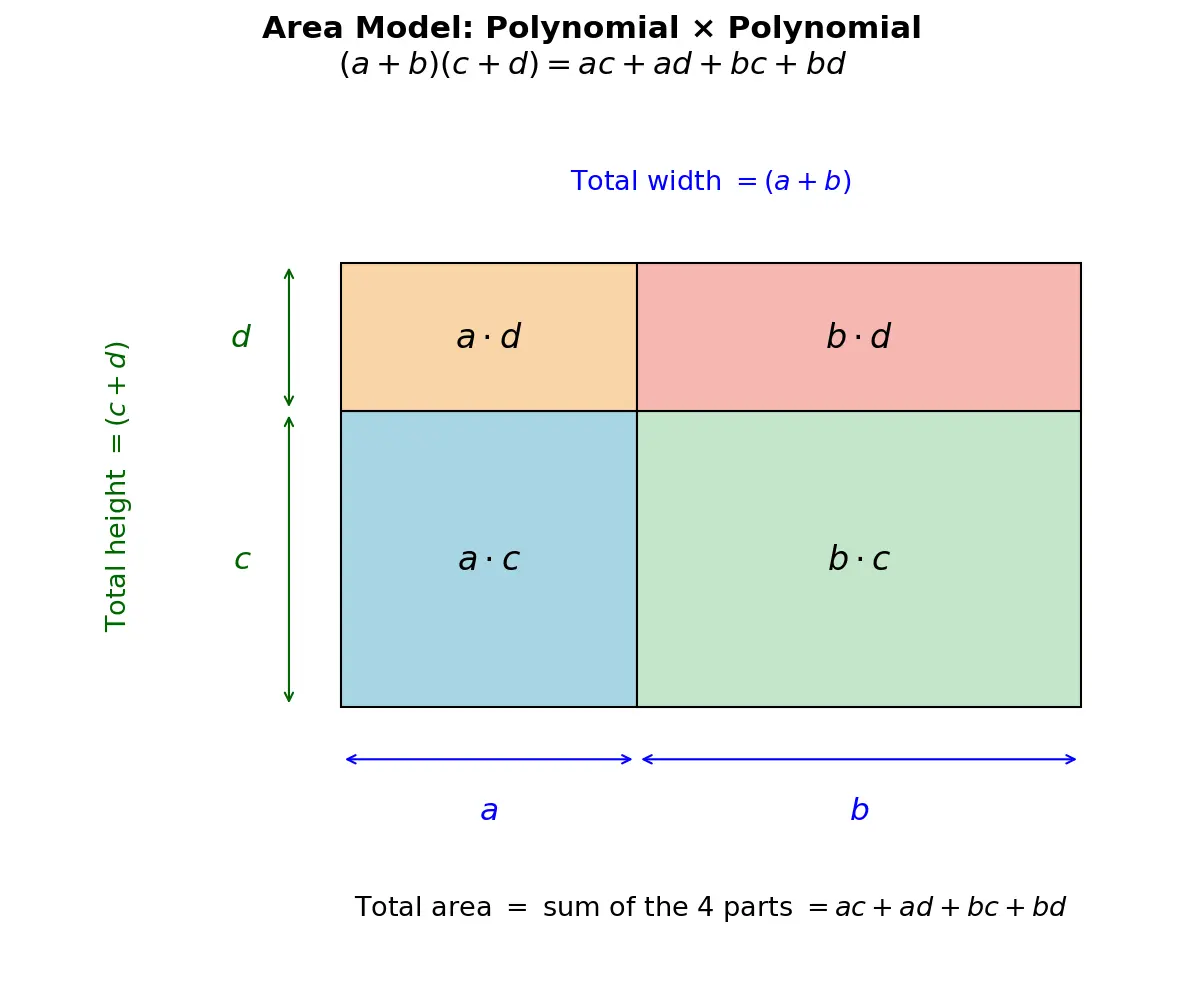 Figure — Multiplication of algebraic expressions — monomial × polynomial, polynomial × polynomial