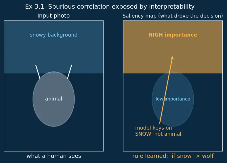 Figure — Importance of interpretability