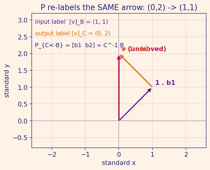 Figure — Coordinate vectors — change of basis