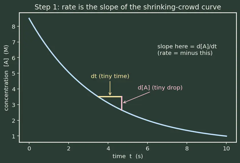 Figure — Differential rate equations for 0, 1st, 2nd order — derivations