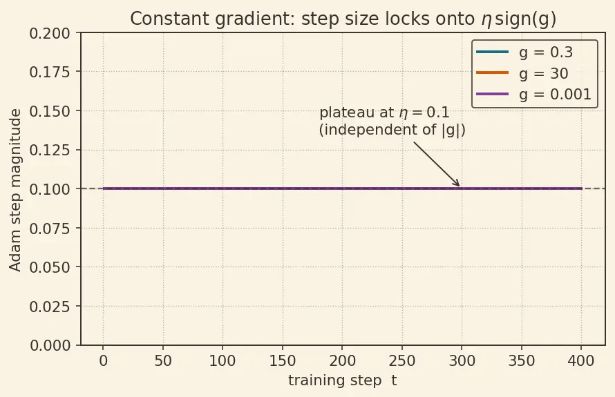 Figure — Adam and AdamW optimizers