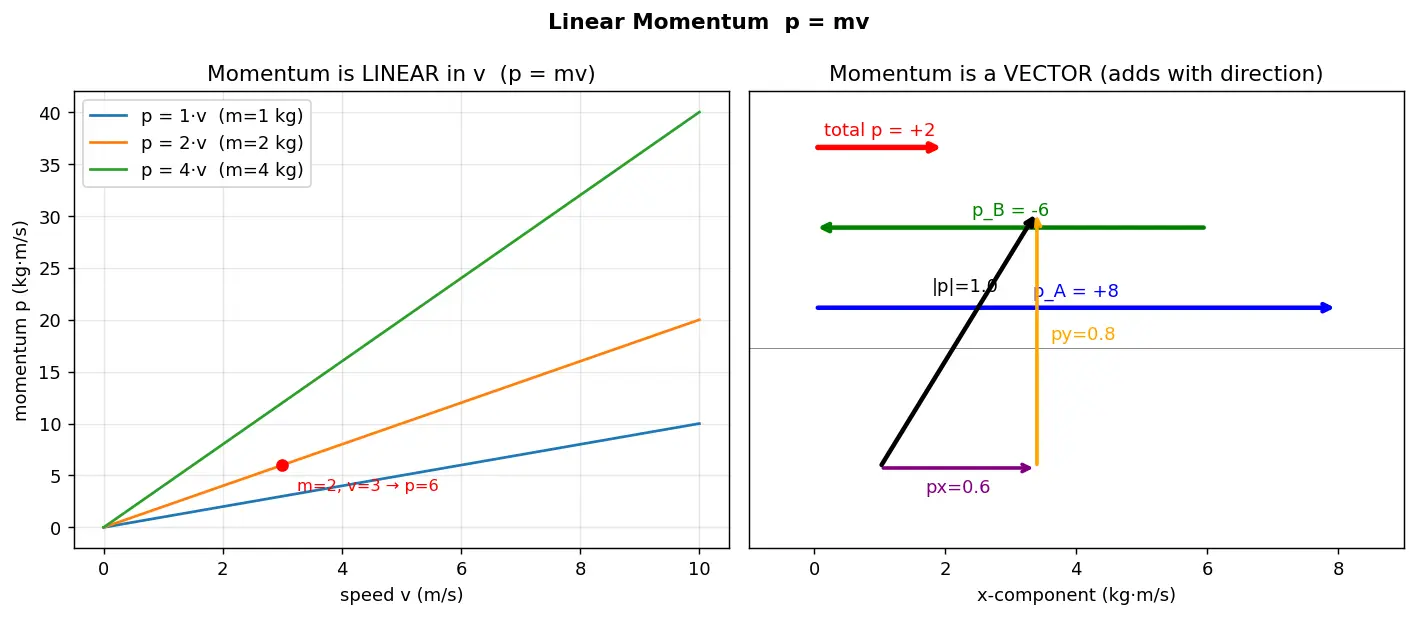 Figure — Linear momentum p = mv